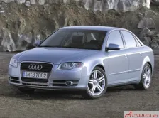 Audi 2.5 TDI V6 (163 bg) (2004)