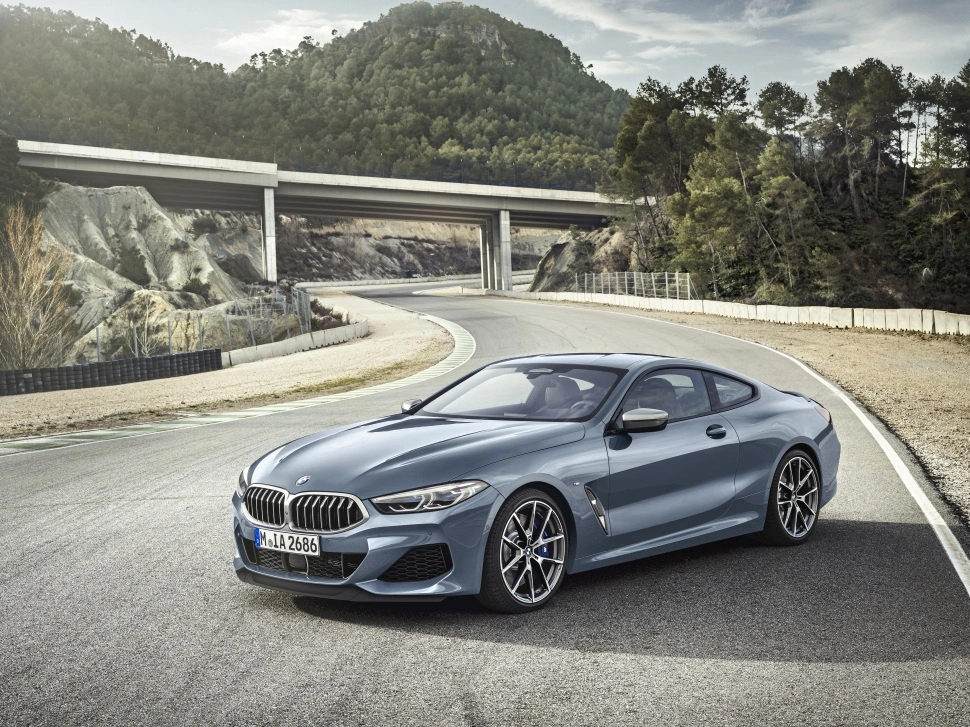BMW 8 Serisi 8 Serisi (G15)