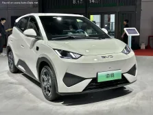 BYD 38.88 kWh (75 bg) Electric (2025)