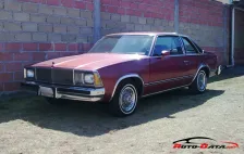 1977 Chevrolet Malibu 3.8 V6 (115 bg) 5