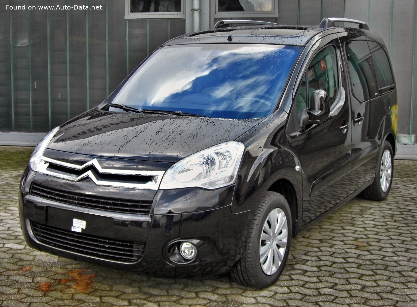 2008 Citroen Berlingo 1.6 HDi (110 bg) FAP