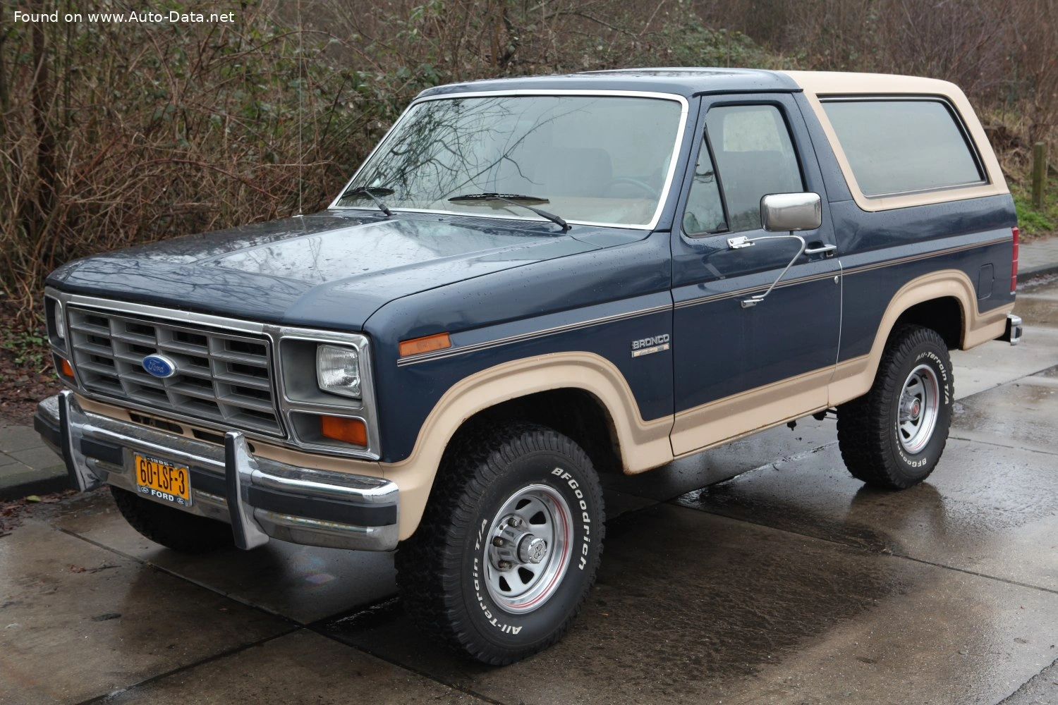 1980 Ford Bronco 5.0 V8 (152 bg) AWD Automatic
