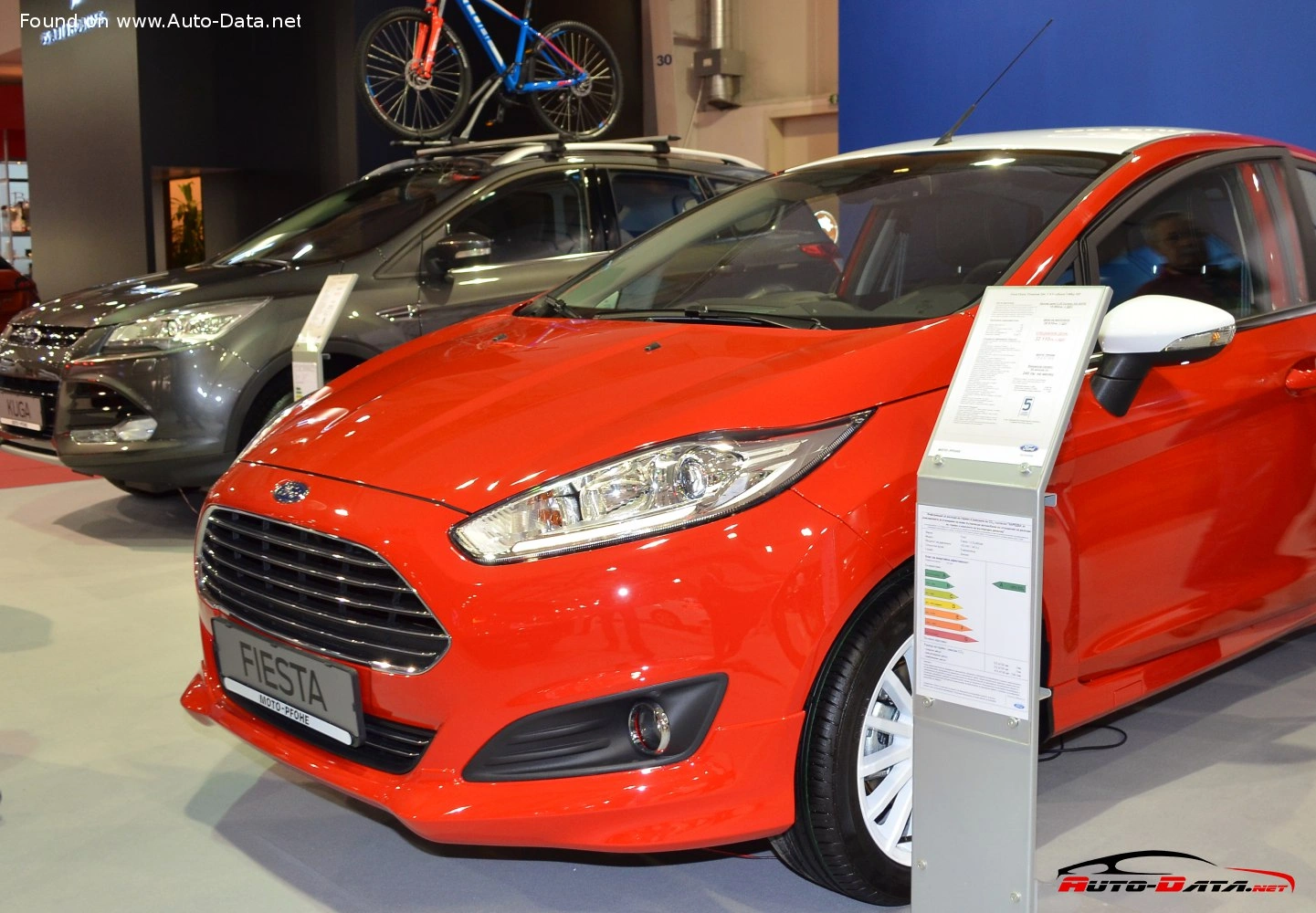 2013 Ford Fiesta 1.0 Duratec (80 bg)