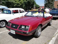 1978 Ford Mustang 4.9 V8 (228 bg) 4