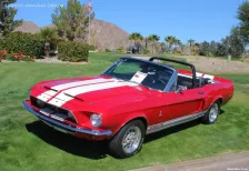 1966 Ford Shelby GT 350 4.7 V8 (310 bg) 3