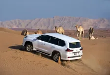 2015 Lexus LX 450d V8 (272 bg) AWD Automatic 3