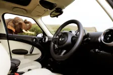 2010 Mini Countryman Cooper SD 2.0 (143 bg) 5