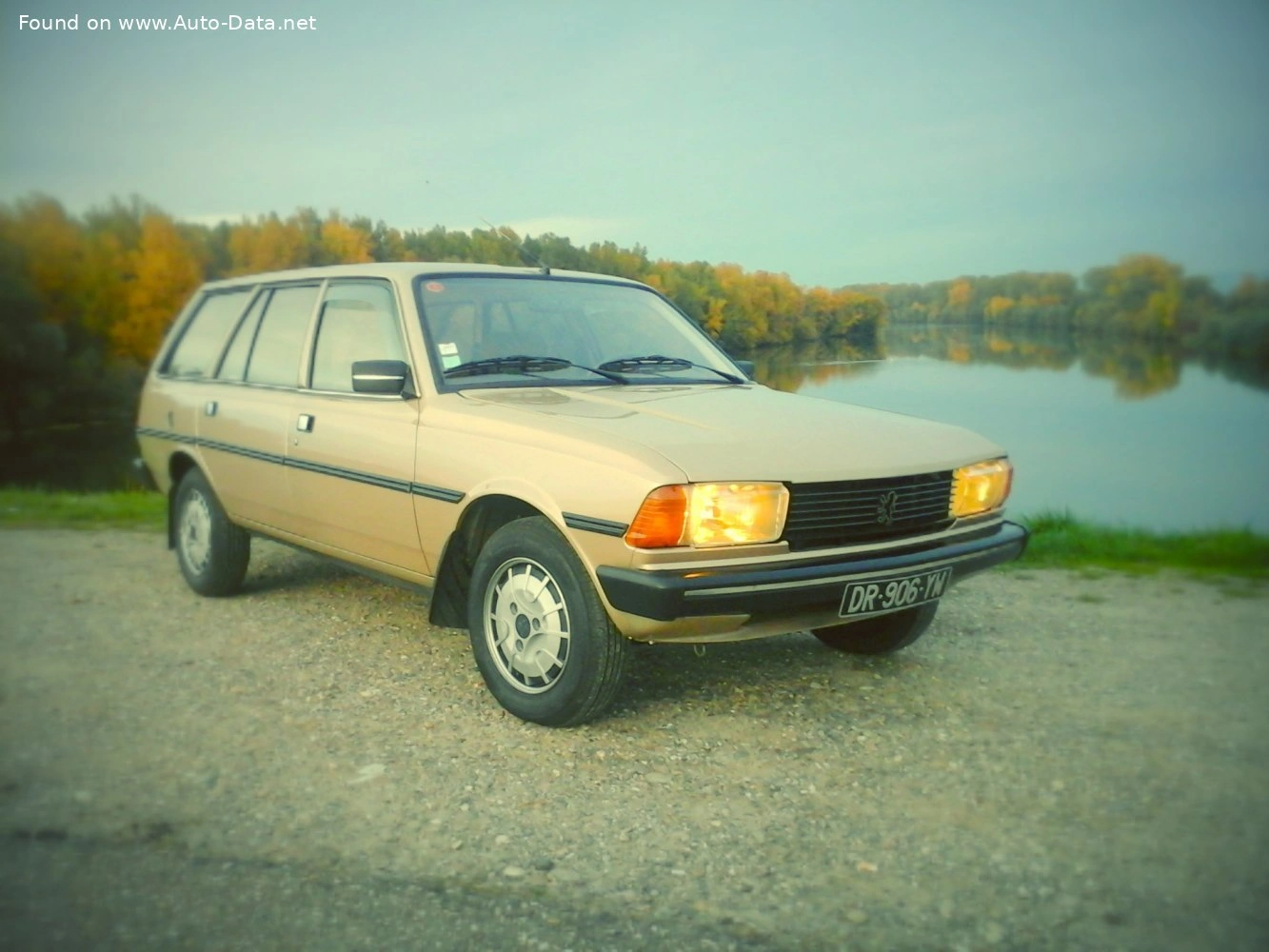 Peugeot 305 305 I Break (581D)