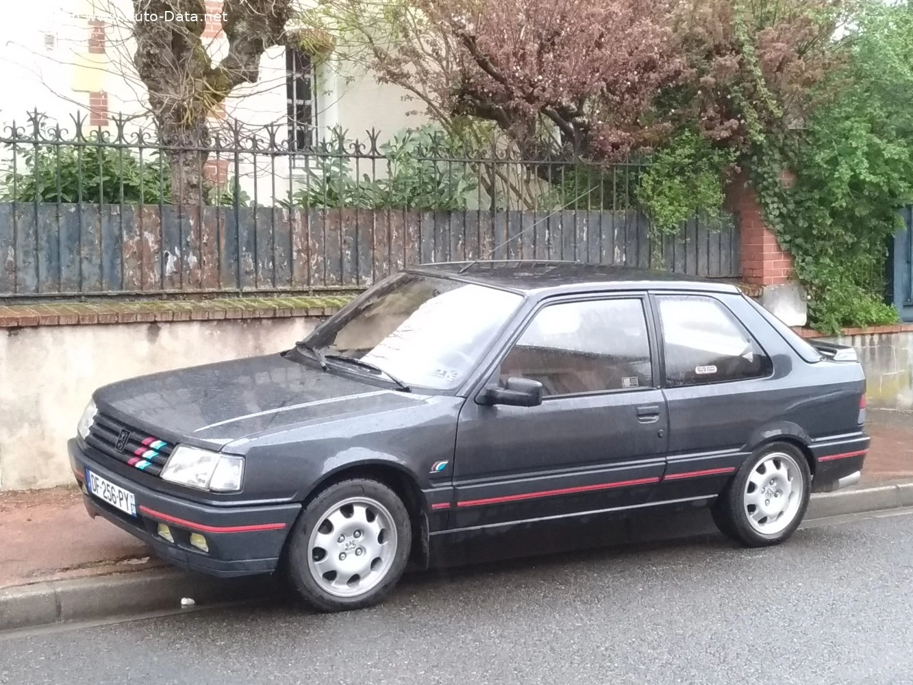 1989 Peugeot 309 1.9 Diesel (64 bg)