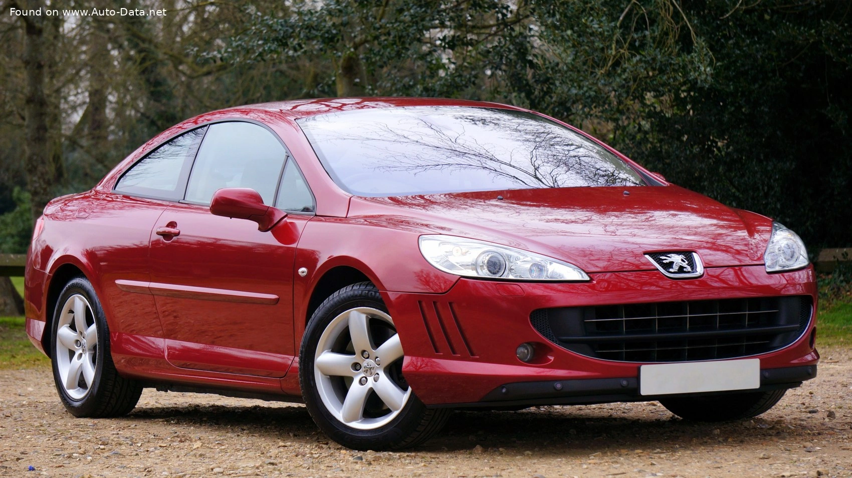 2005 Peugeot 407 2.7 V6 24V HDi (205 bg)