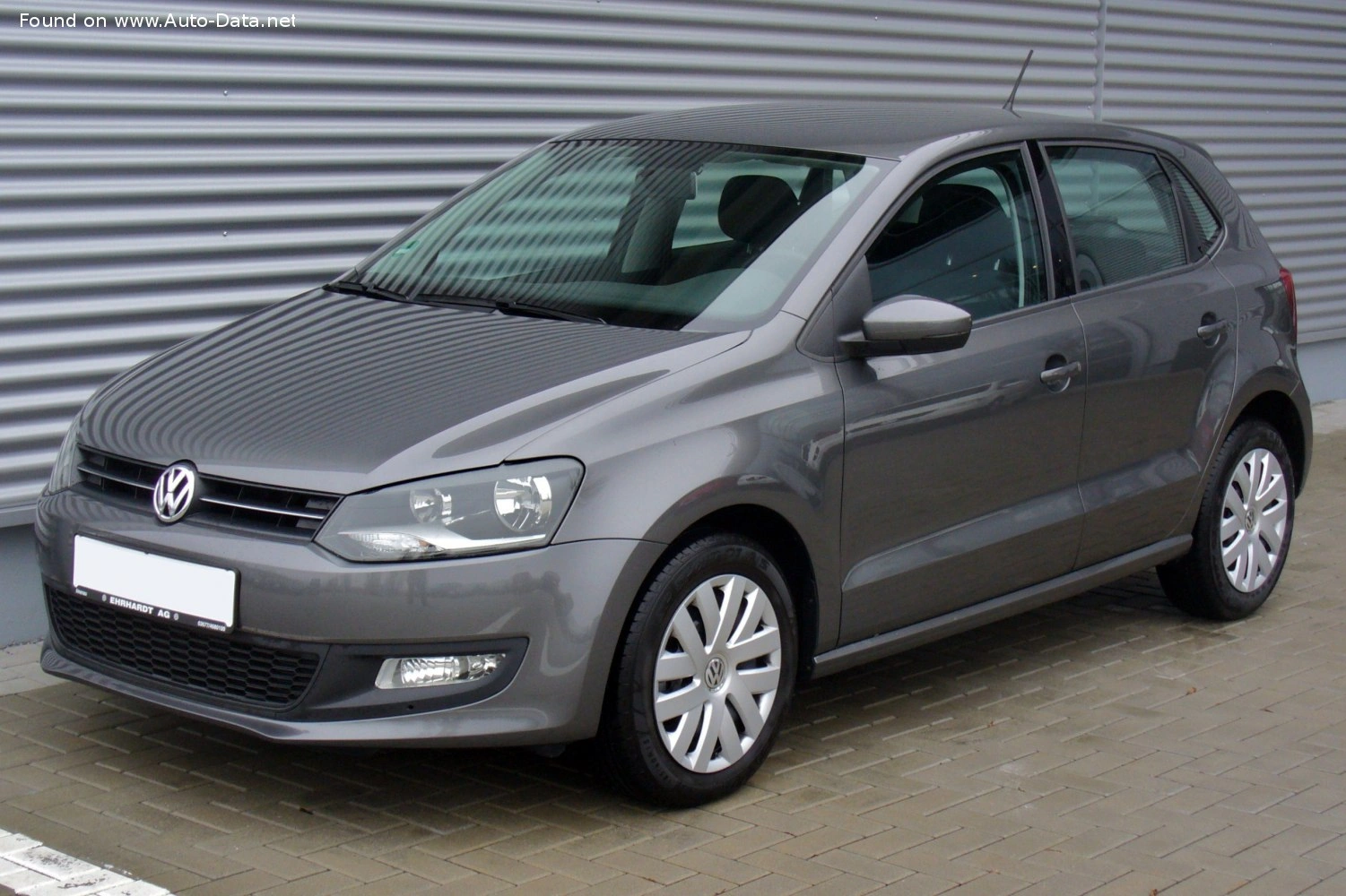 2009 Volkswagen Polo 1.6 TDI (90 bg)